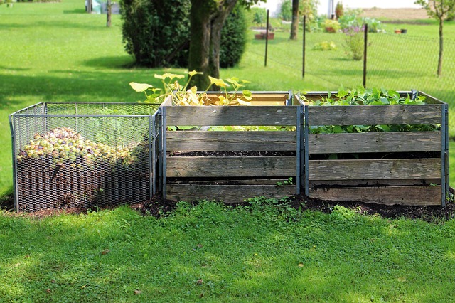 Starting Your Own Compost Pile