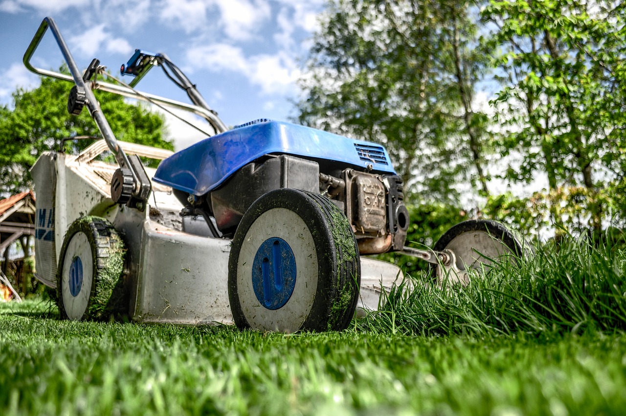 Gardening Chores for August